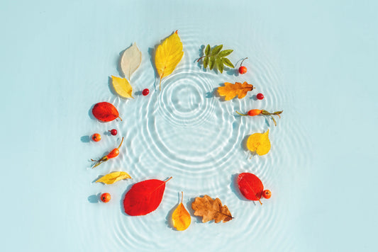 Immune Season is Here: How to Stay Strong When the Sunlight Fades