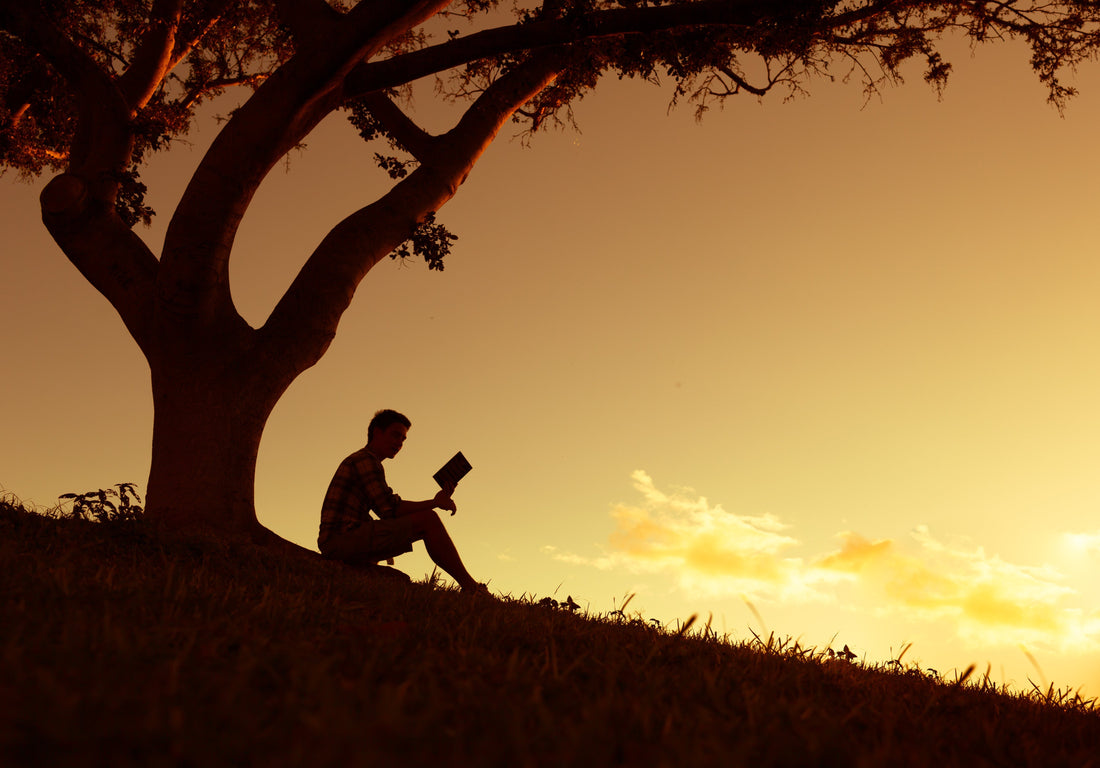 What to Read When You Need a Little Calm: 7 Timeless Picks