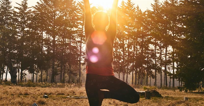 Proactive vs. Reactive Health