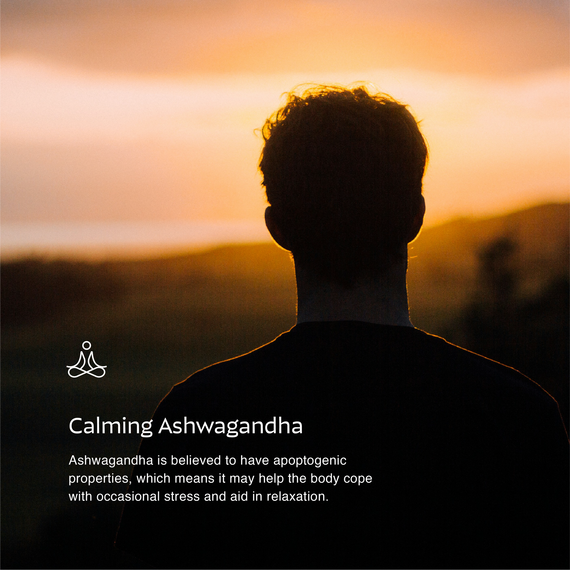 Aurite Saffron Plus Ashwagandha