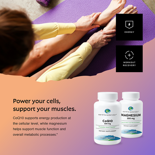 Cellular + Energy Support Bundle 