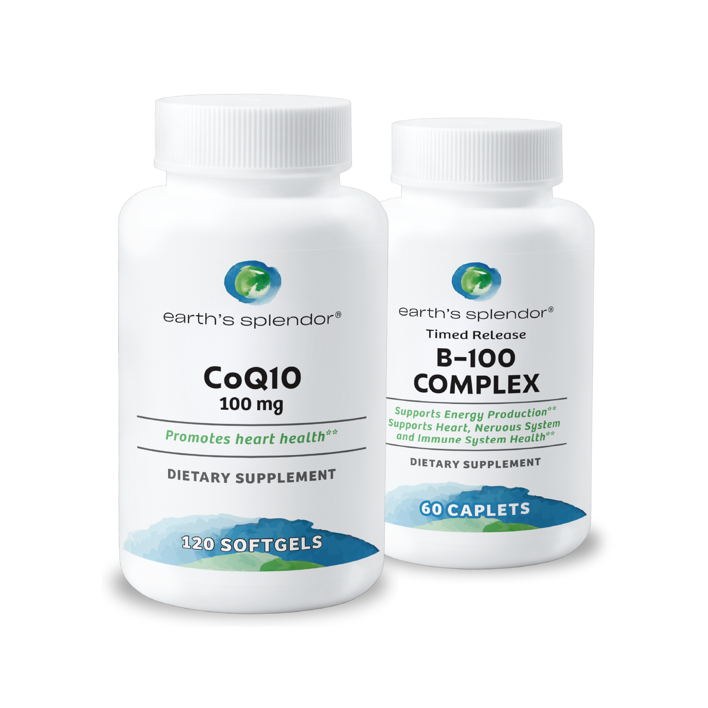 Energy + Metabolism Bundle 