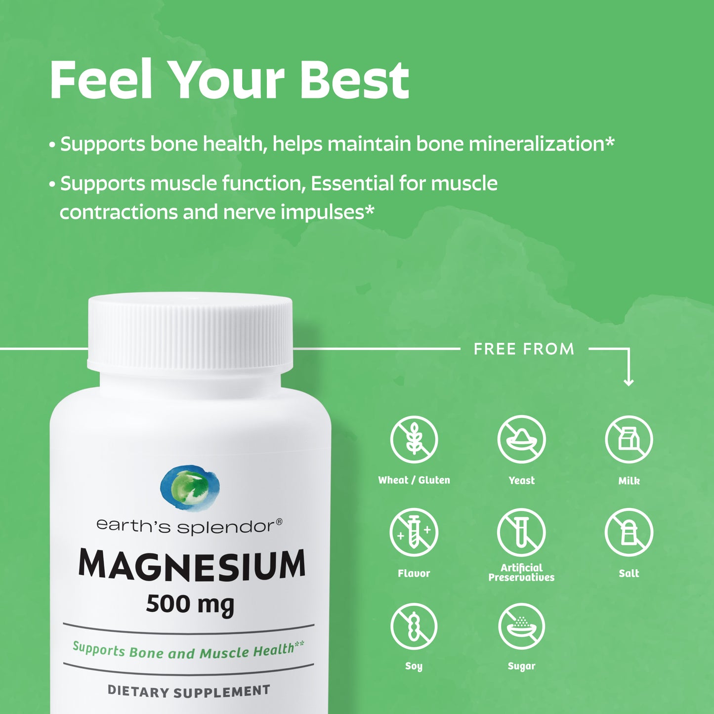 Energy + Muscle Support Bundle